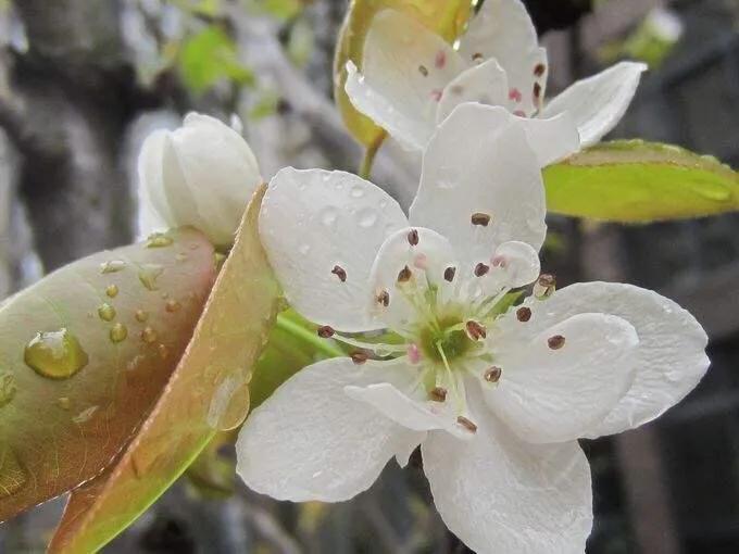 一段感情让你变得自卑又自负,因为自卑所以爱和伤害都是加倍的