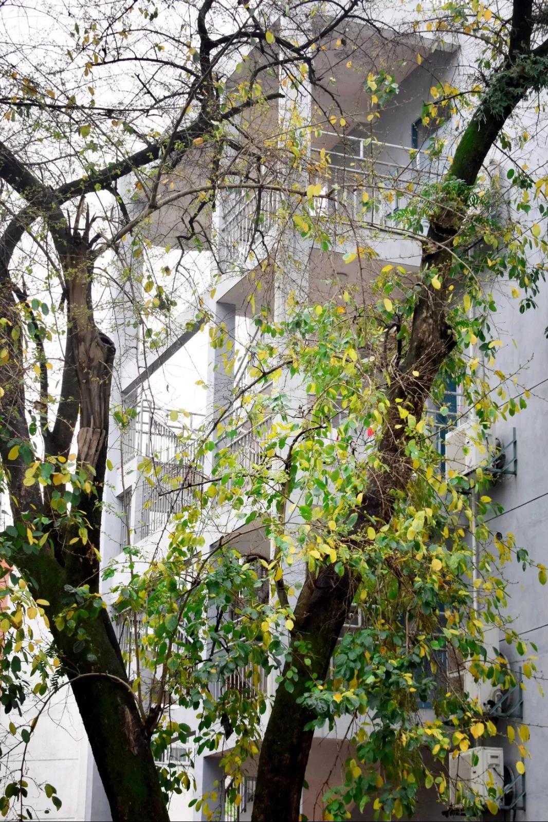 福州时代中学2018级,福州时代中学2022年招生名单公布