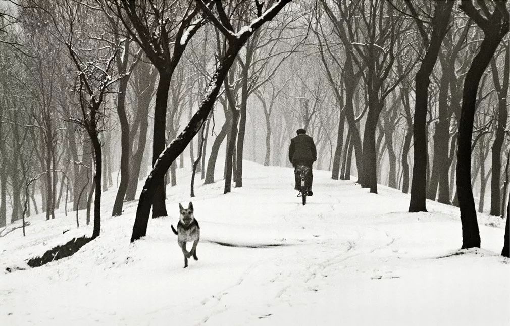 十二月，国内有哪些好看的展览？#2019年最后一个月#