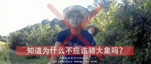 一部令人心酸的真实纪录片,难以忽视的真相纪录片讲了什么