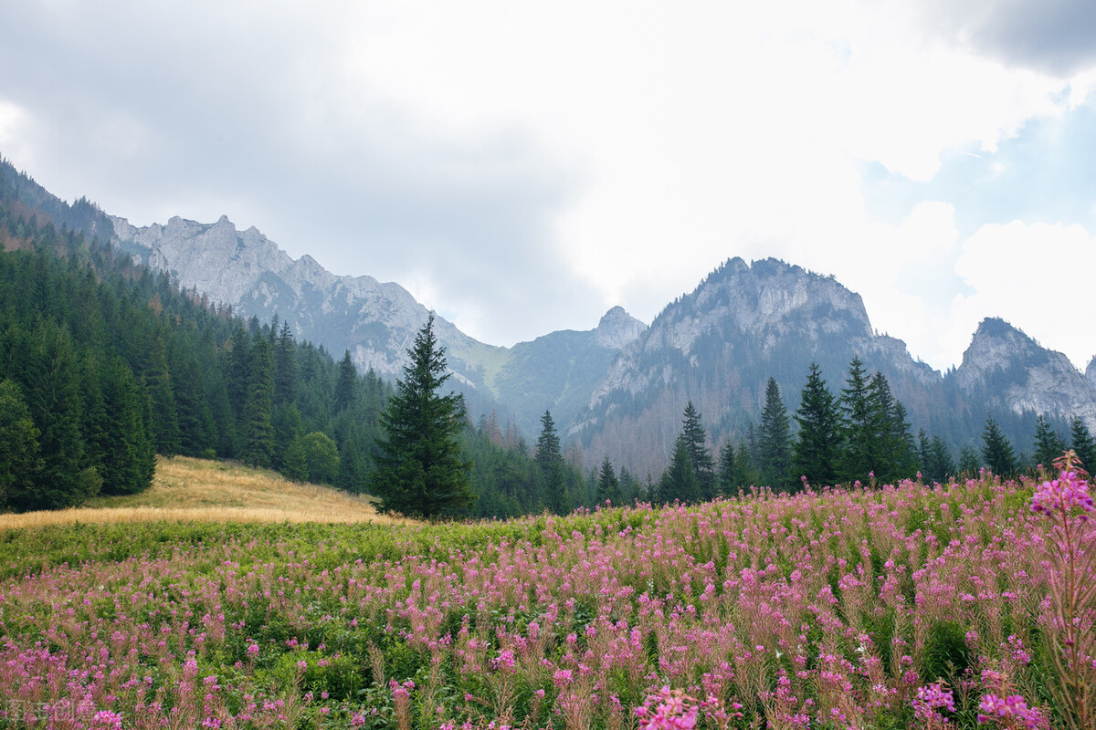 为什么说不能改命但可以改运,为什么有人说命能算不能改