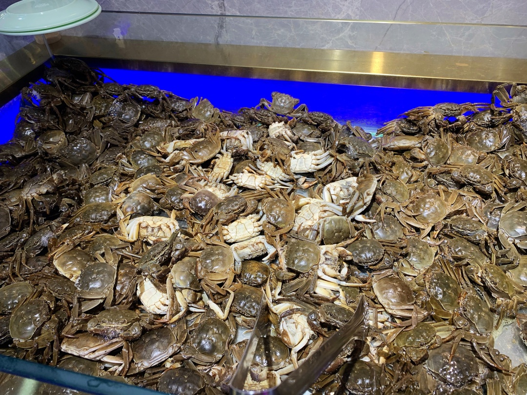 长春中东七彩城实体店,长春七彩城烤肉店