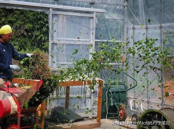 蓝染的正确方法,蓝染方法