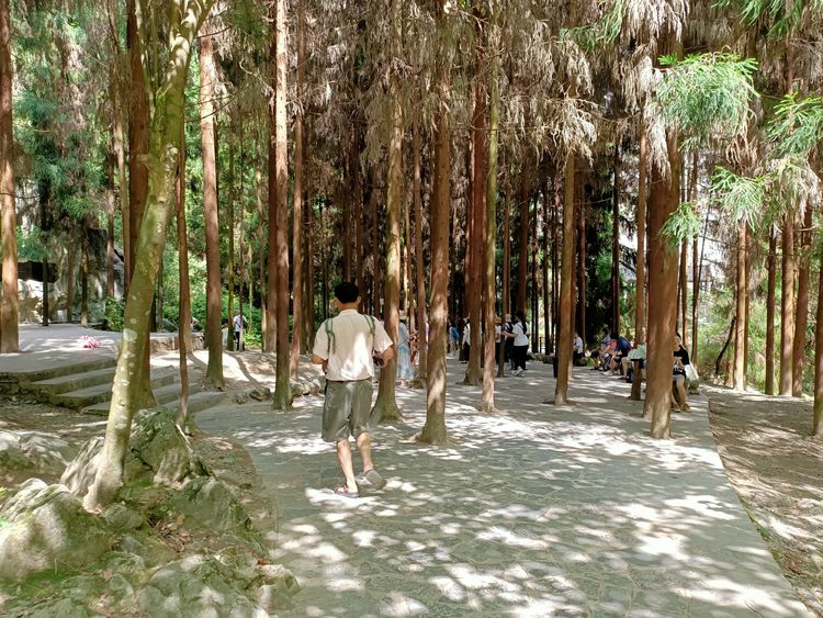 大美武隆仙女山,畅游重庆武隆区仙女山