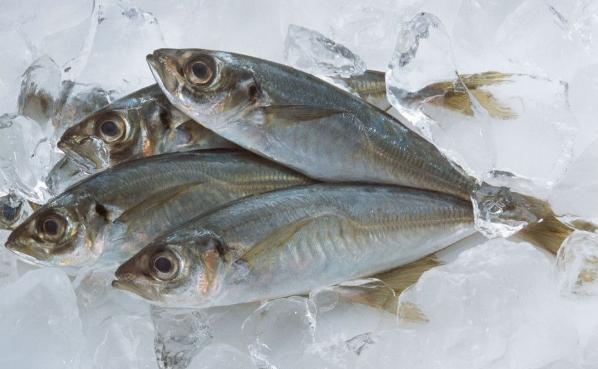 常见的海鱼怎么做好吃,纯海鱼怎么吃好吃