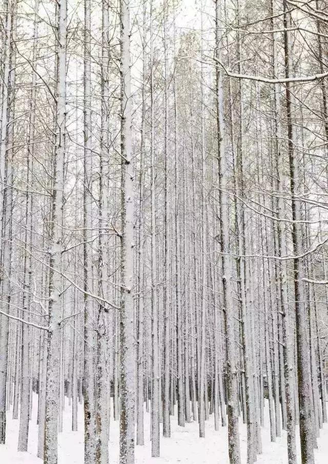 辽宁有美丽的小镇,辽宁有个小城市