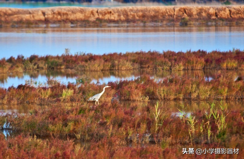 既能拍人像又能拍风景的镜头佳能,尼康80-400vr防抖全画幅镜头评测