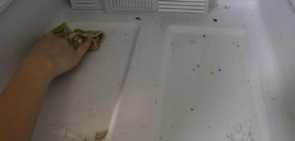 冰箱脏了怎么清洗妙招图解,冰箱脏了如何清理干净妙招