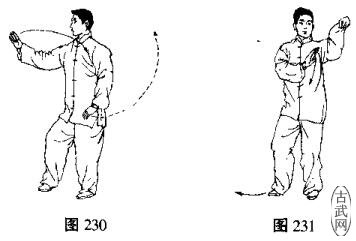 24式简化太极拳云手,杨式24式简化太极拳