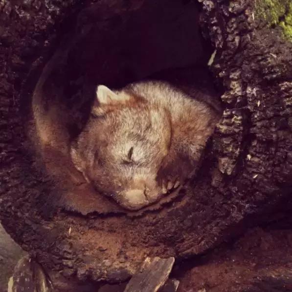 a上帝的宠儿114,上帝的宠儿阅读答案