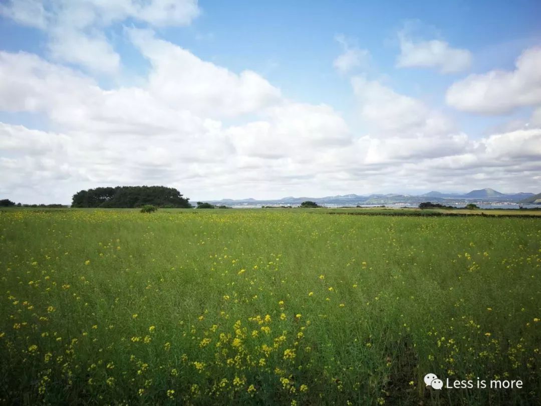 韩国济州岛五天攻略,韩国济州岛旅游详细攻略