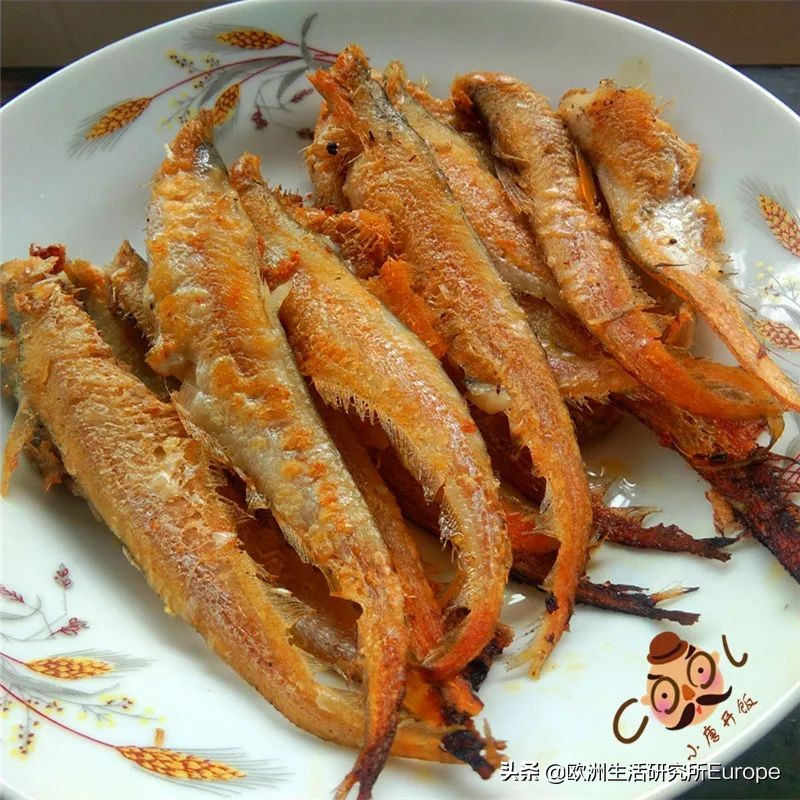 西班牙超市最全的鱼类挑选指南！据说这种山寨鱼对人体大大有害？