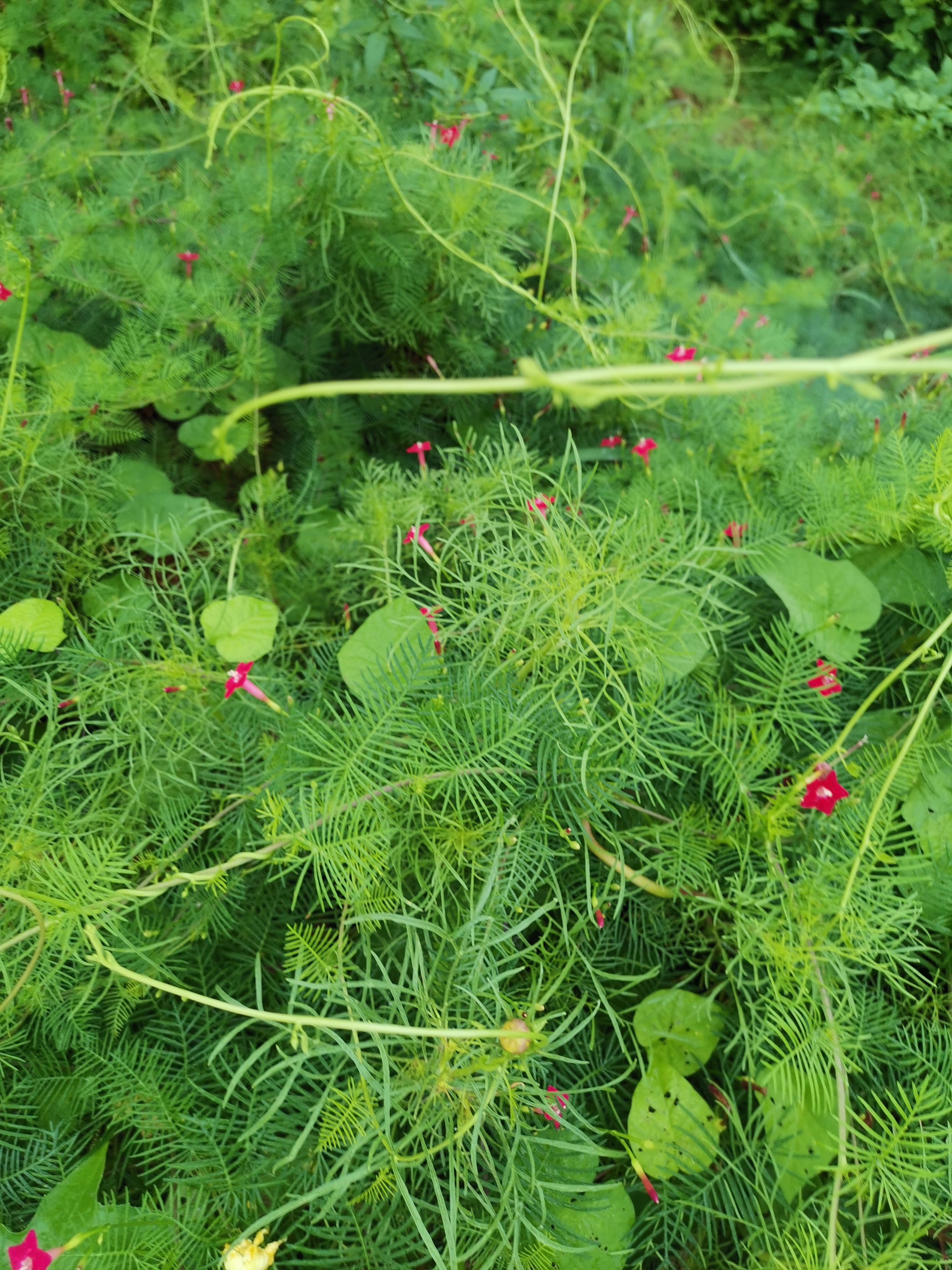 宇宙探索对于人类发展的思考,人类的智慧能否认清宇宙的本质