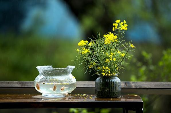 诗词中的春雨,关于春雨的唯美意境诗句