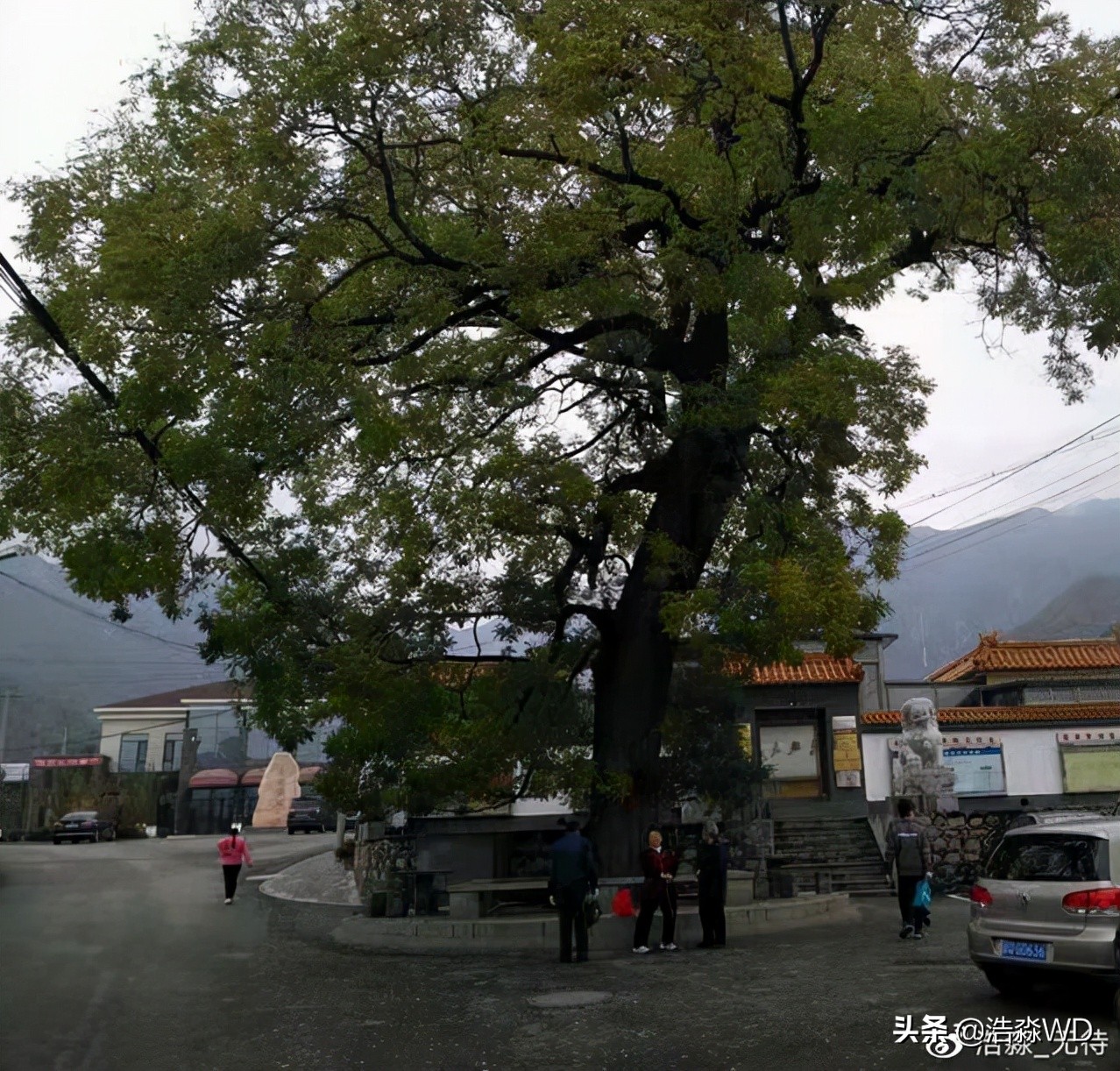 田仙峪长城,田仙峪民宿