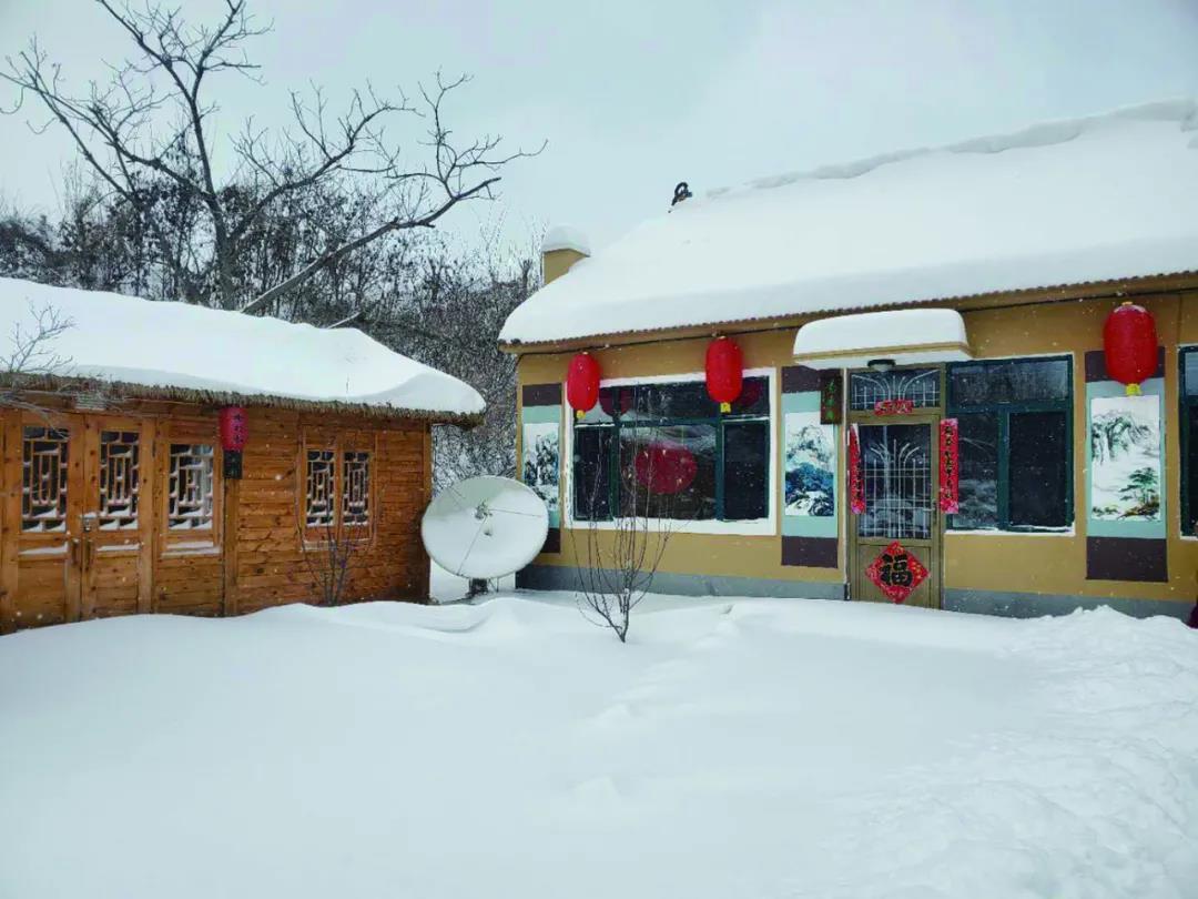 沈阳日报12月13日,沈阳新闻9月16日