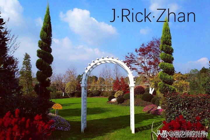 果岭草坪的种植养护方法及技巧,怎么种植一个可以躺的草坪