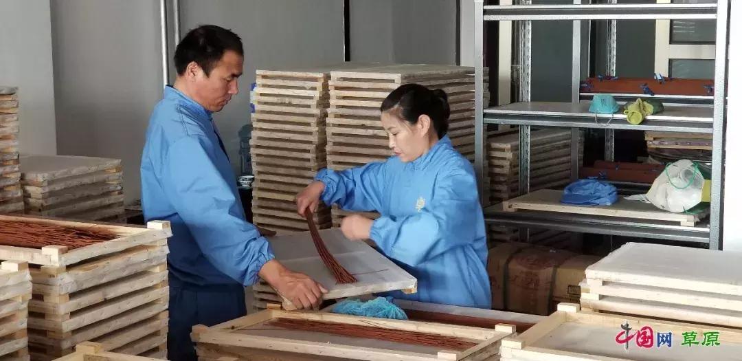 牛粪也能做成美食,内蒙古的牛粪真的是清香的吗