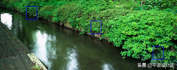 尼康和佳能全画幅怎么选,尼康18-135全画幅