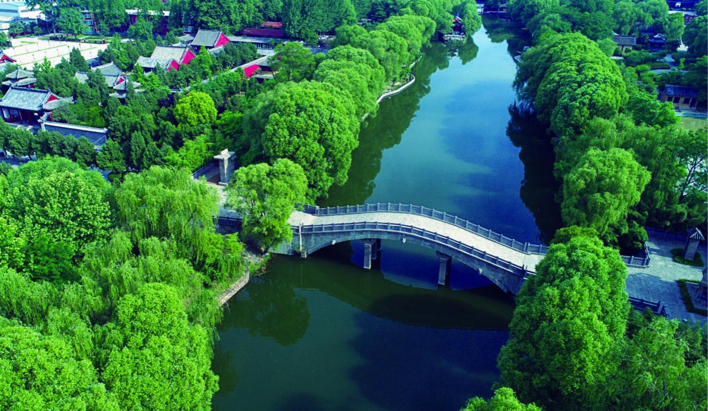 依依杨柳唯美诗句,很浪漫的诗句古诗