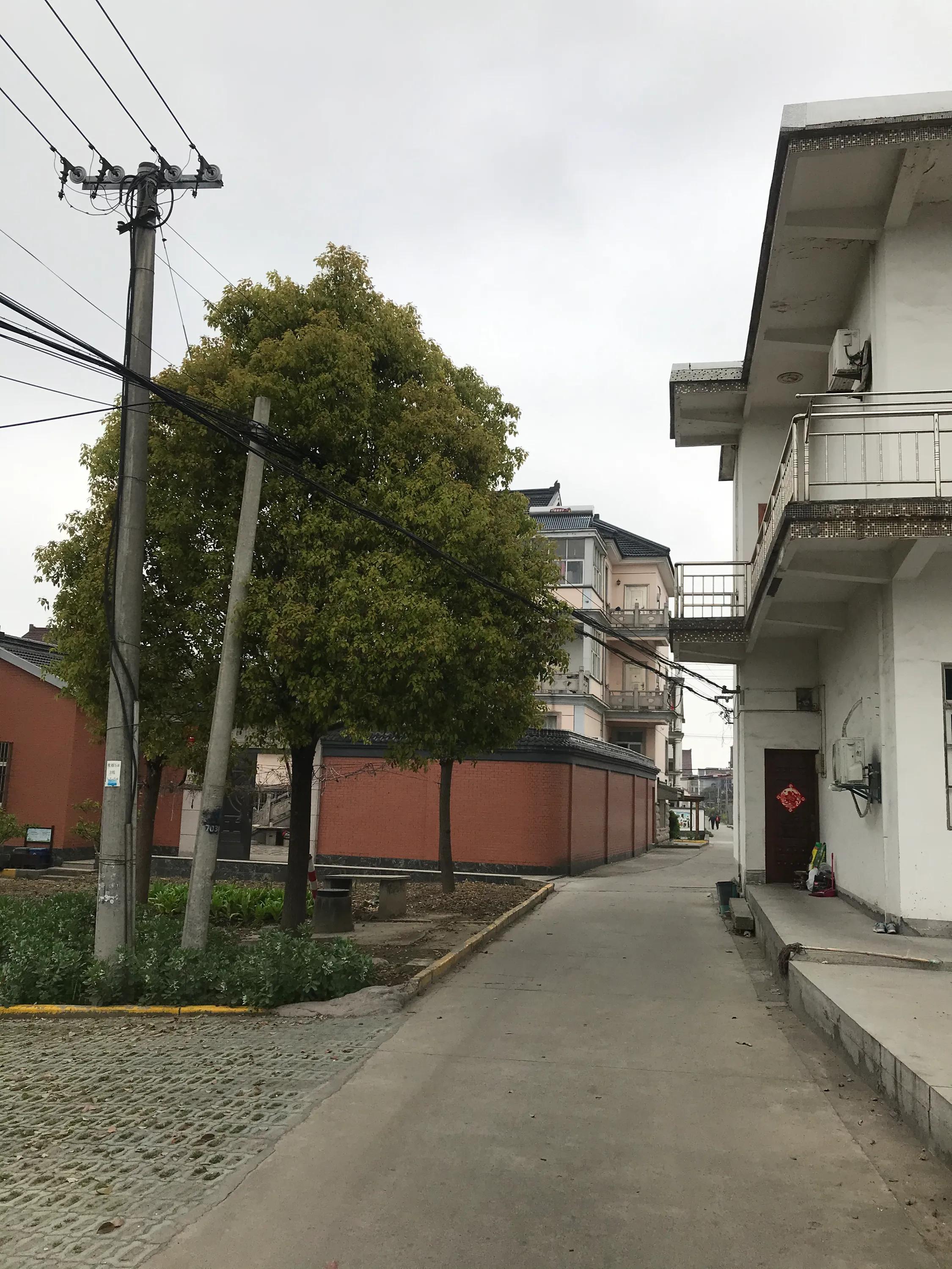 苏州吴江震泽八都,吴江区震泽八都贯桥社区