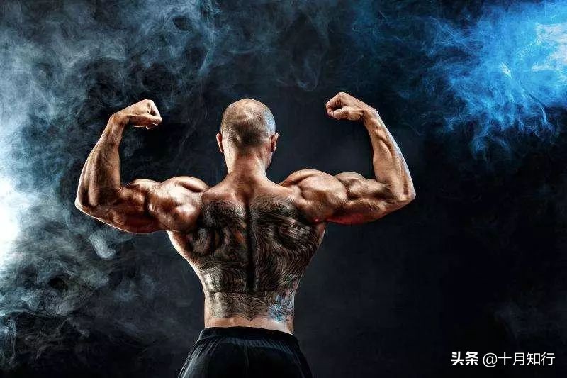 杰夫哑铃背肌训练的最佳动作,用哑铃练什么动作练胸肌背肌手臂