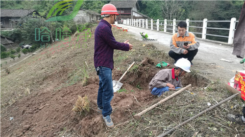 重庆专业灭白蚁服务公司,重庆灭白蚁公司