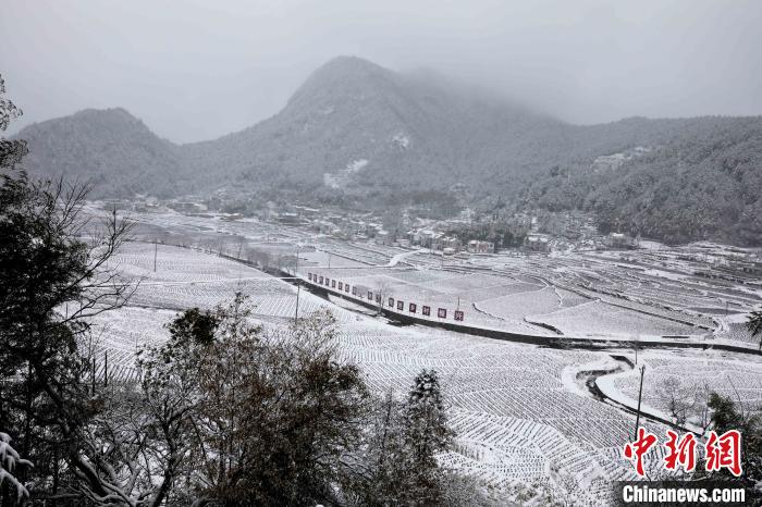 众志成城抗击疫情代购小分队,安徽疫情防控队支援六安