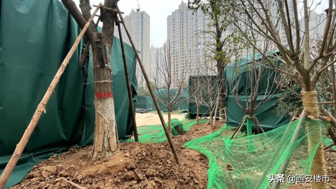 千林郡房价多少钱一平方,曲江千林郡2万左右房