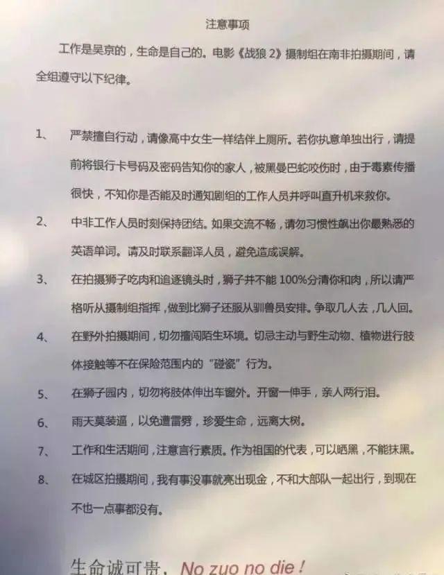 吴京拍战狼为什么没被偷票房,吴京凭借战狼斩获票房
