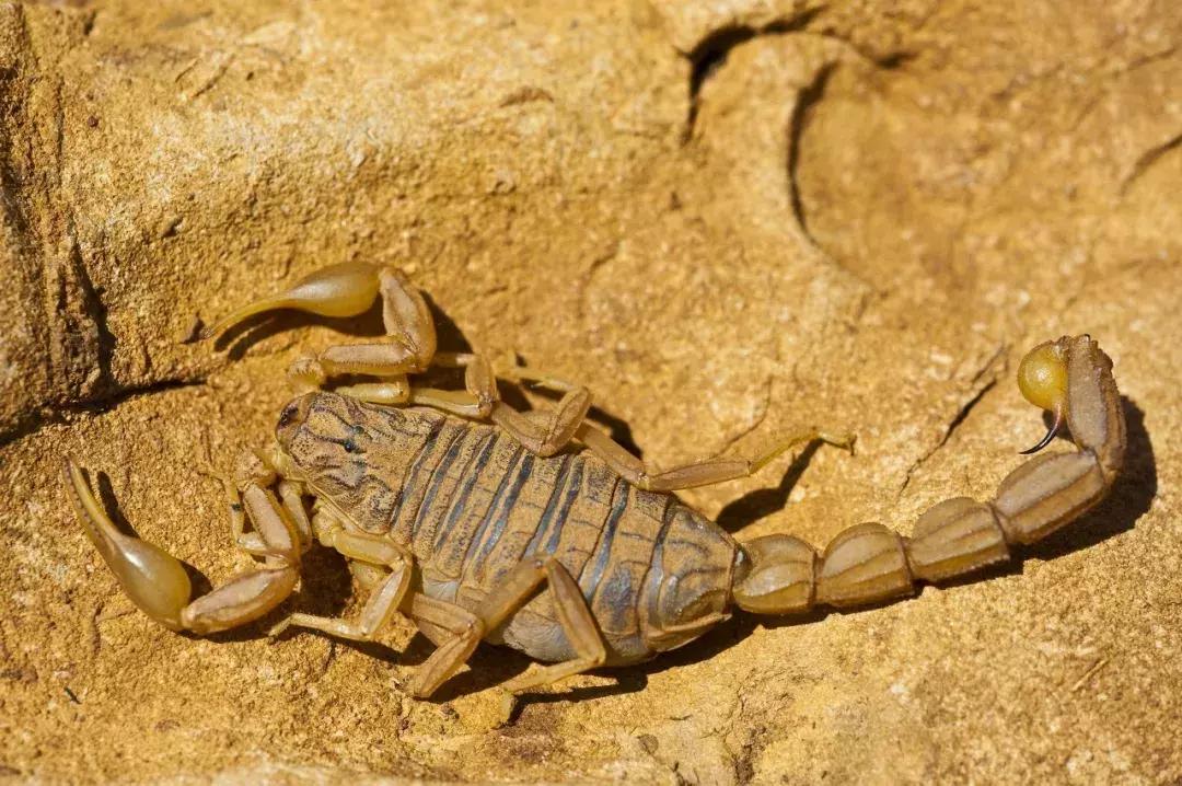 义务兵野外驻训需要带什么,野外训练兵哥哥都干什么