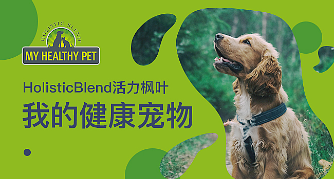 给狗狗接生,给狗狗接生有没有忌讳