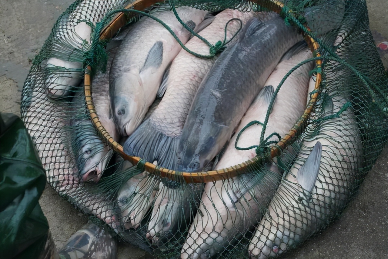 非常具有文采且对仗工整的对联,史上最经典对联100副文采飞扬