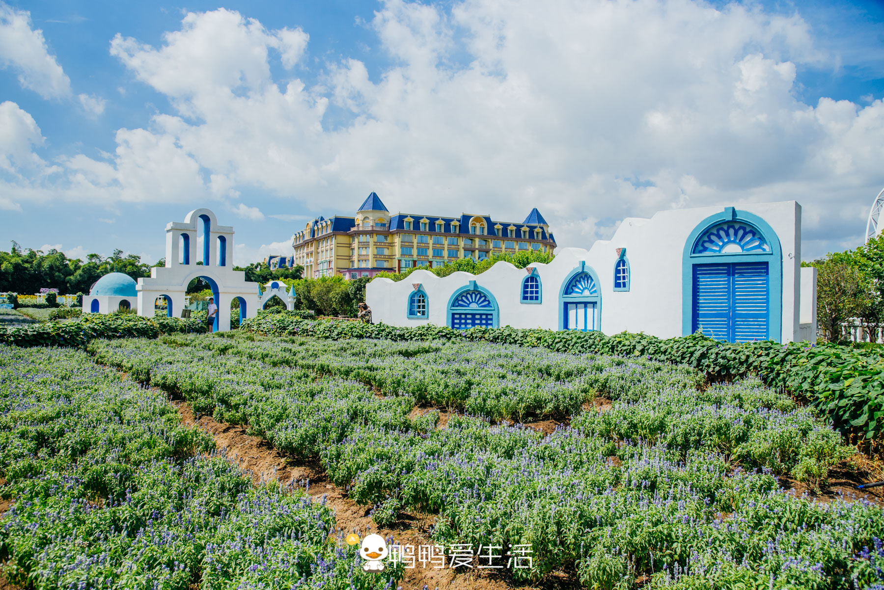 广州最浪漫的旅游胜地,广州最浪漫的旅游景点在哪里啊