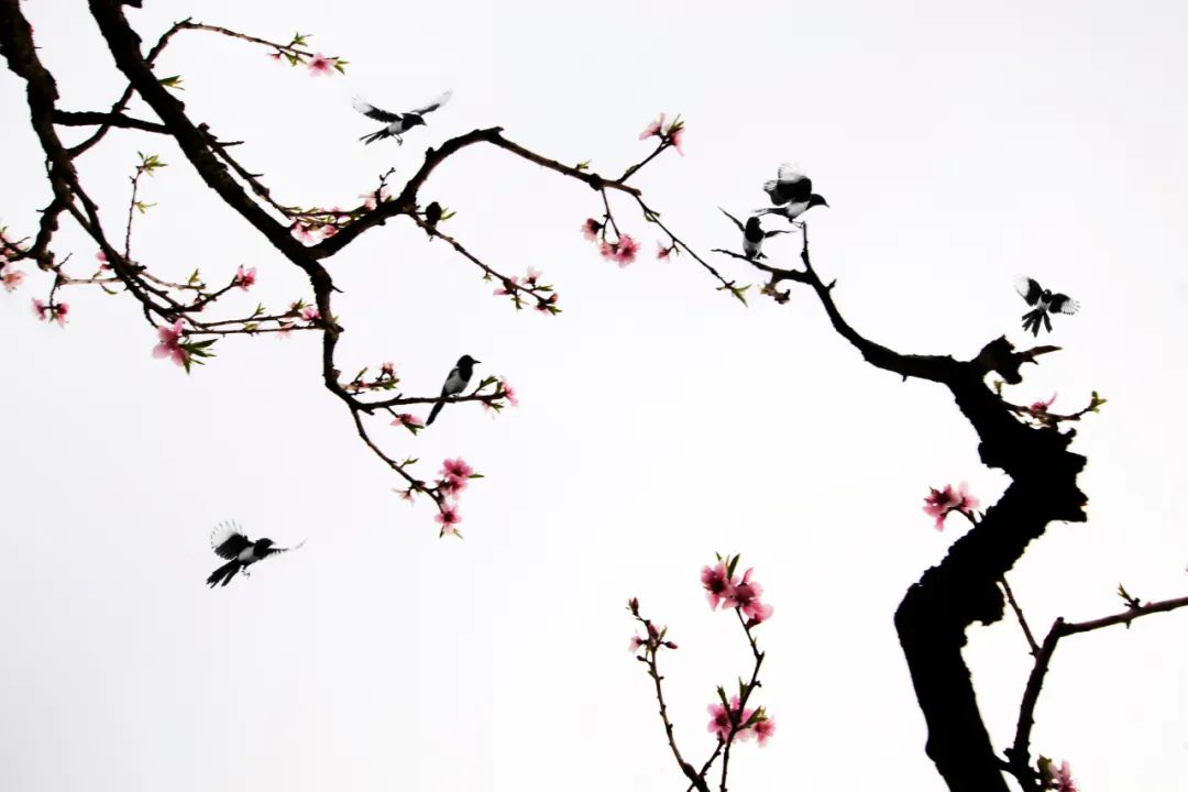 香港第14届全国摄影艺术展,第29届全国摄影艺术展览获奖名单