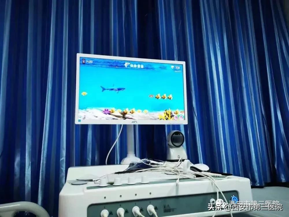 盆底疾病及其常用的康复方法,盆底疾病的康复方法