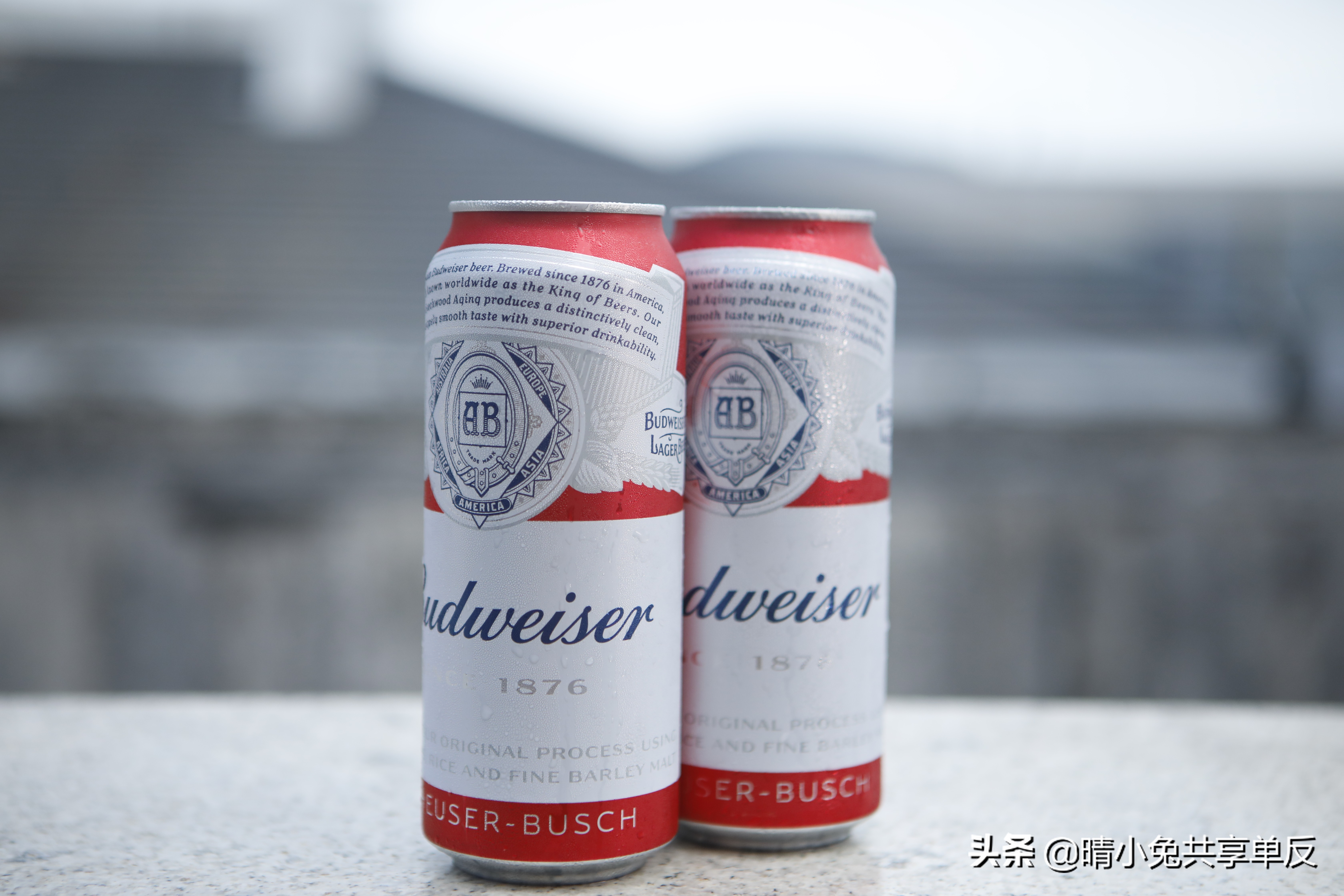 偏振镜是什么镜,偏振镜是什么符号