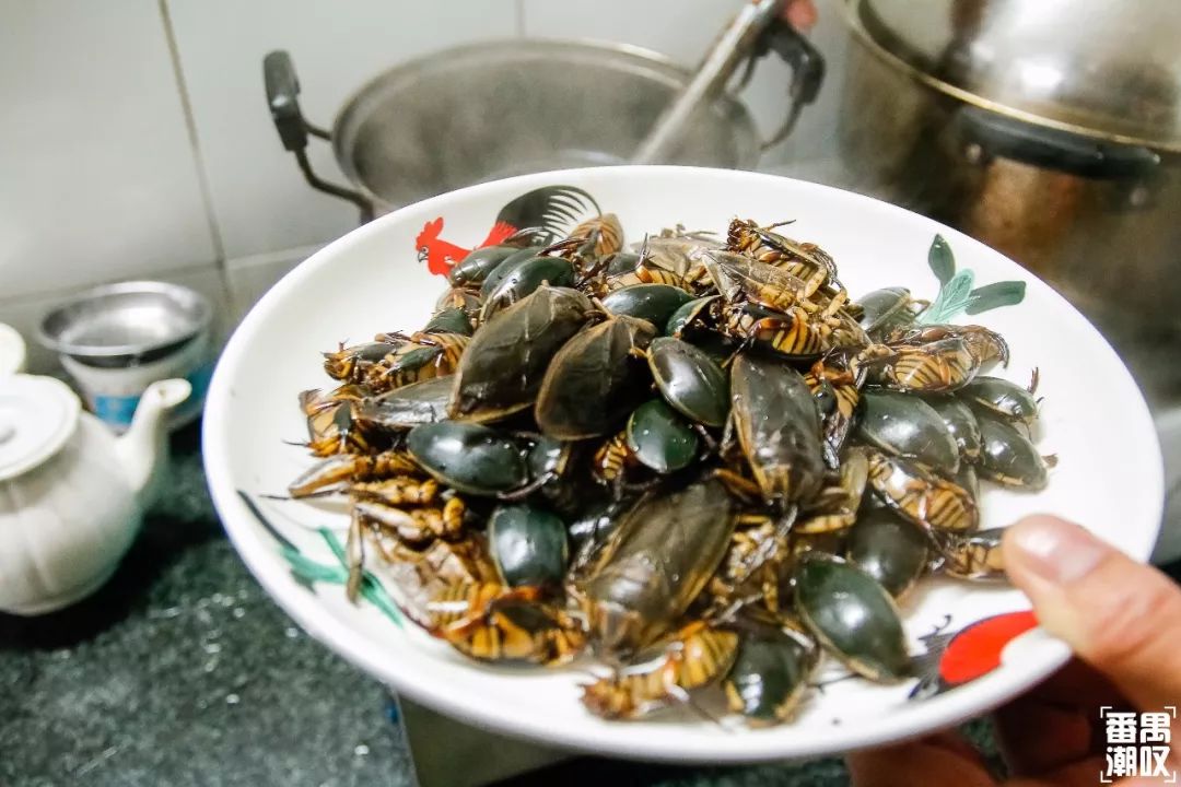 番禺最LOW餐厅清单②|钟村篇