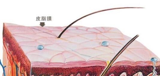 洗澡的时候搓下来的黑泥放大100倍,搓澡下来的黑泥是什么显微镜