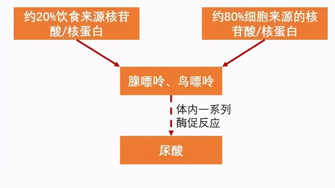 老公隐瞒自己得了「痛风」，老婆打算起诉离婚，你怎么看？