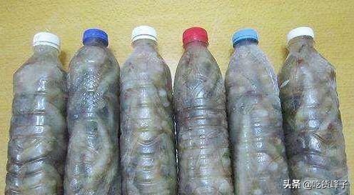 大虾怎么保存不会直接放冰箱,大虾保鲜别直接放冰箱了