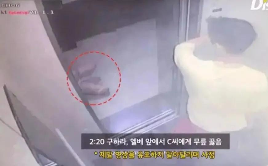 崔雪莉具荷拉是什么关系,崔雪莉具荷拉是什么组合