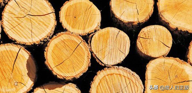 实木家具的这条“缝”为什么会越来越大？