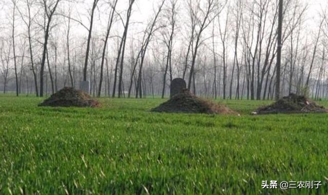 在农村,如果房前有坟墓,别人不迁走怎么办?