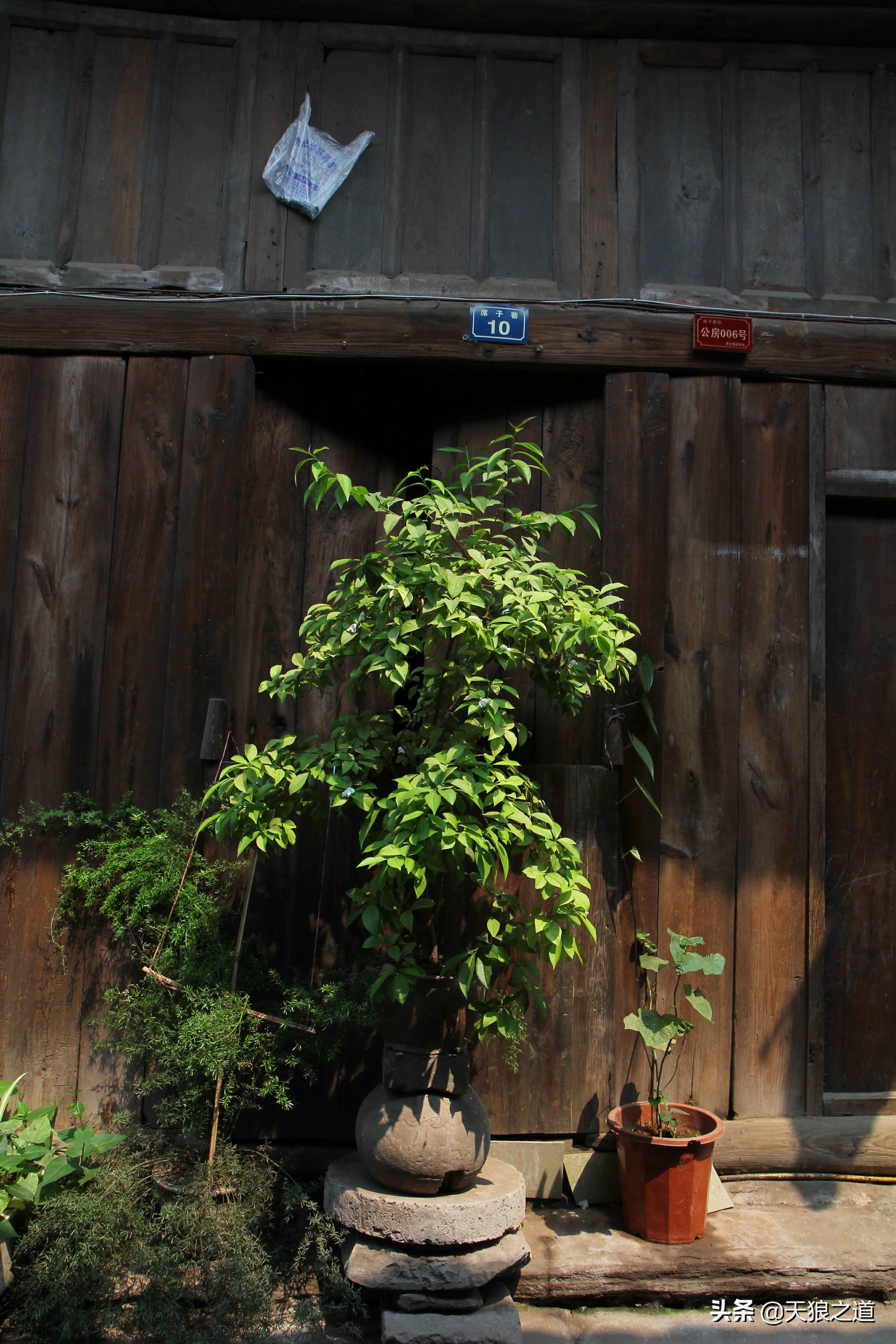 鏉庡簞鍙ら晣鍥涚粷寤虹瓚,鍙ゅ缓涔嬫梾