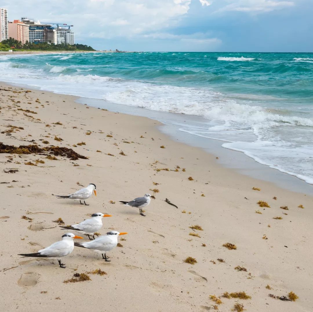 全球最美的100个海岛,100座世界最美海岛