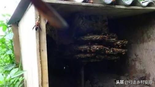 厌倦了只想赚钱,厌倦了不想上班