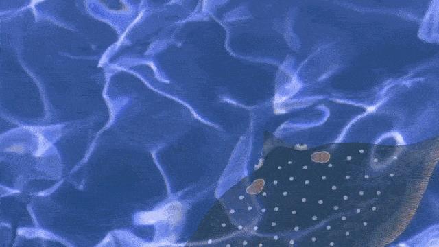 你以为人鱼都美的惊心动魄？那你是没有见过丑的！