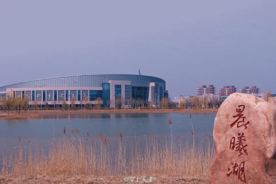 天津市打篮球最好的中学,天津高校天津体育学院