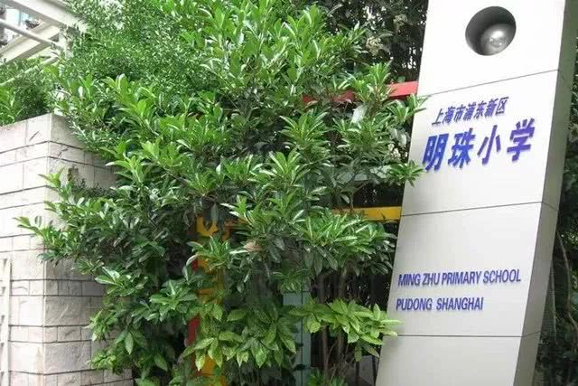 上海小学排名前十名的学校有哪些,上海22所中小学入选
